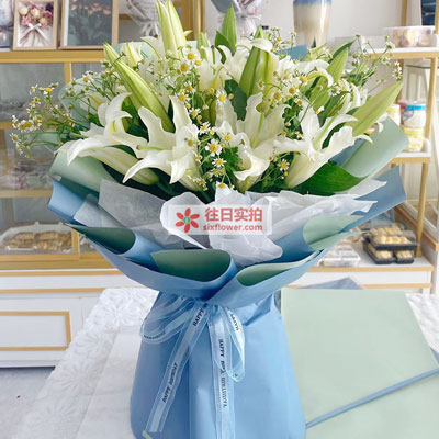 厦门8支白色多头百合洋甘菊，互倾的思念