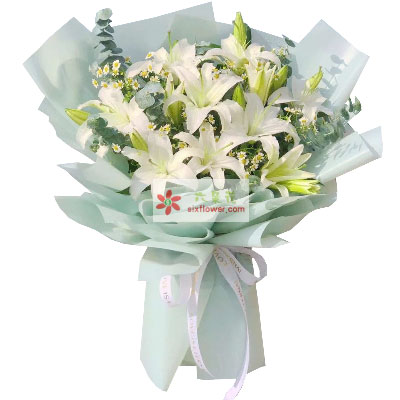 厦门6支白色多头百合，温馨的祝福