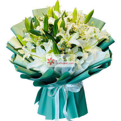 厦门8支白色多头百合洋甘菊，如潮的思念
